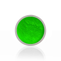 Pigment do zdobień - 03 NEON GREEN