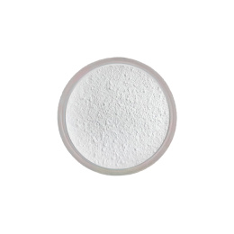 Pigment do zdobień - 01 BRIGHT WHITE